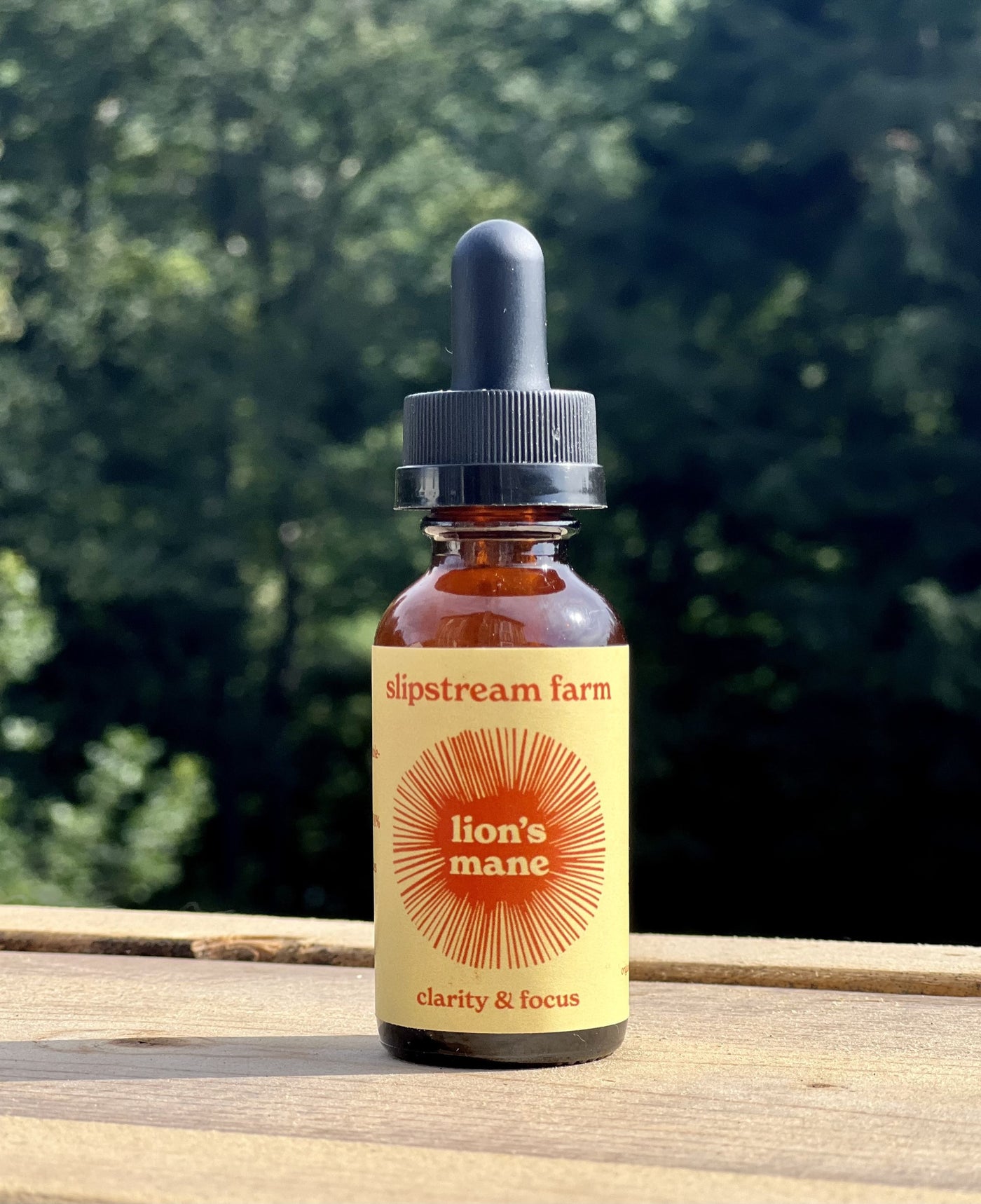 Mushroom Tinctures